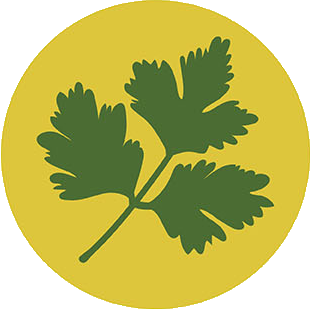 Icon 3