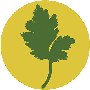 Icon 4
